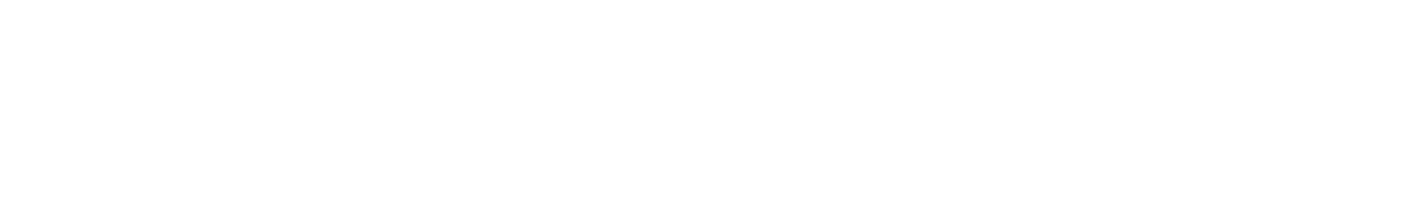 Kadence WP
